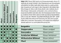 Abb. 3.18 in Originalgröße