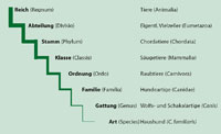 Tab. 3.2 in Originalgröße