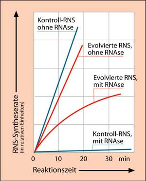 Bild in Originalgröße