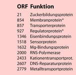 Tab. 8.1 in Originalgröße