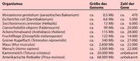 Tab. 9.1 in Originalgröße