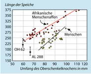 Abb. 15.10 in Originalgröße
